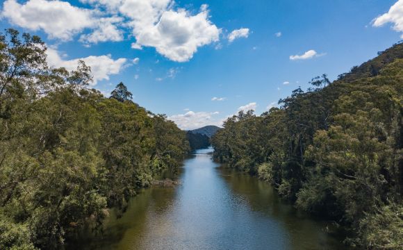 2017 11 07 Somersetday2 17310 2017 11 07 Somersetday2 17310